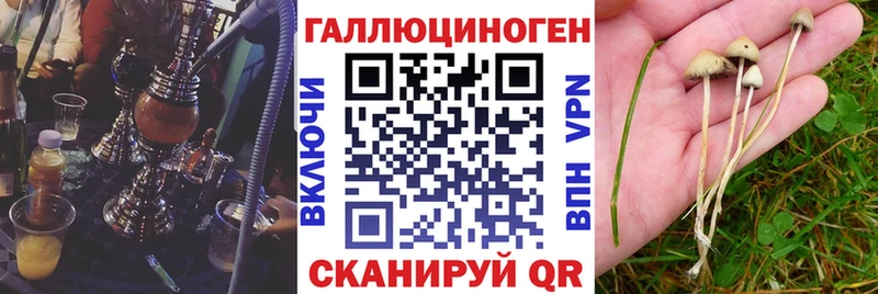 площадка телеграм  купить наркотики сайты  Сердобск  Галлюциногенные грибы мухоморы 